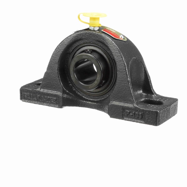 Mounted Cast Iron Two Bolt Pillow Block Ball Bearing, NP-204